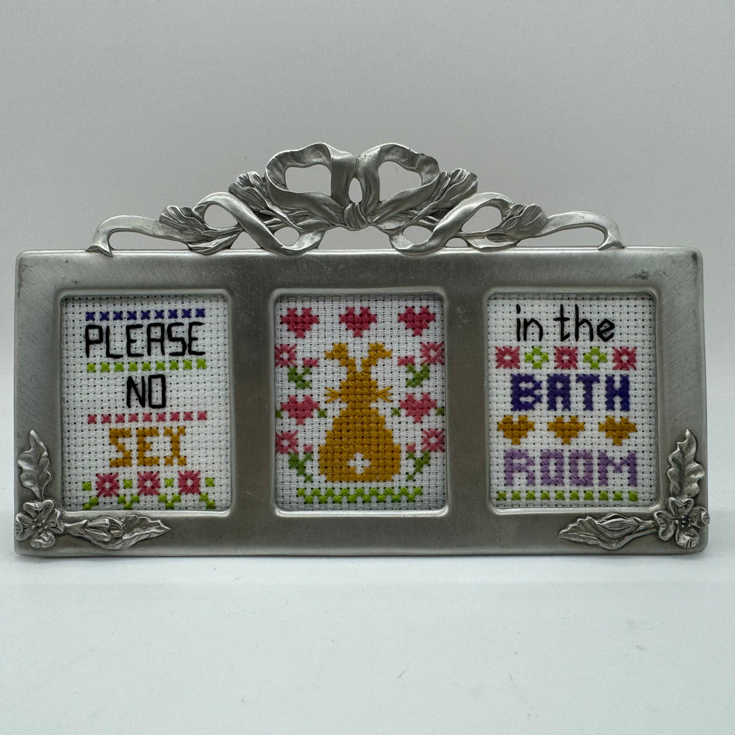 Please no sex in the bathroom vulgar cross stitch