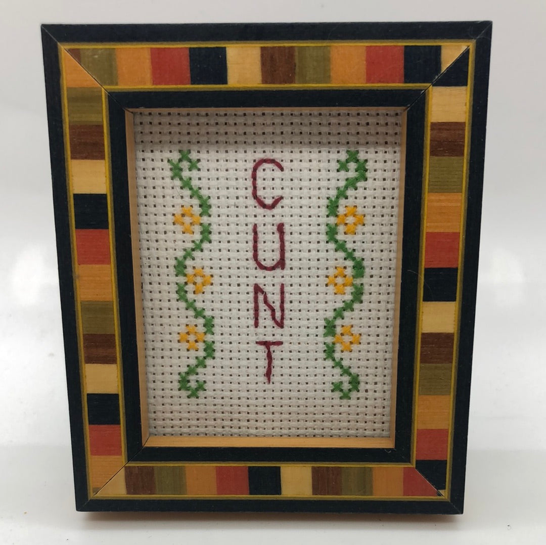 Cunt - naughty vulgar cross stitch crossstitch